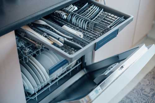 Can You Actually Wash Clothes in a Dishwasher ?