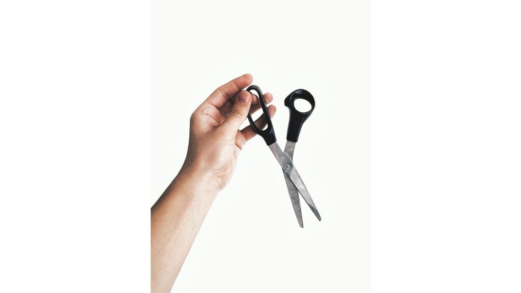 Can you use Regular Scissors to cut Fabric ?