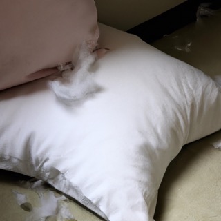 feathers losing from pillows